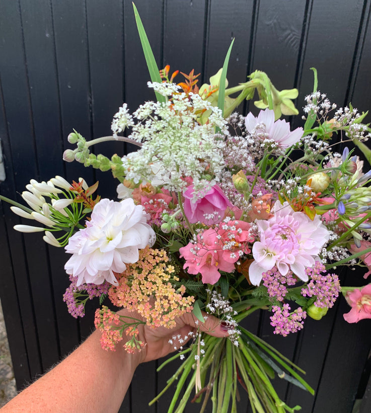 Summer 2025 From field to vase.